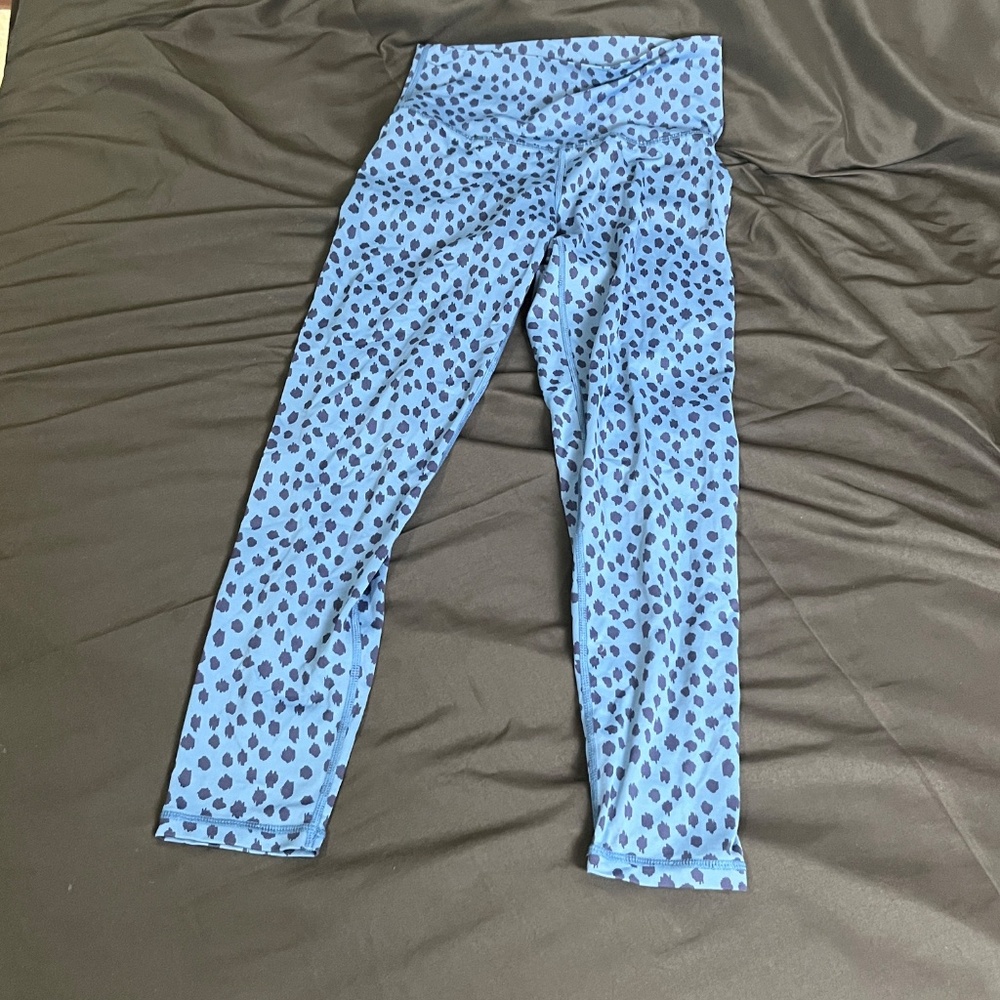 Aerie Leopard Animal Print Pants Blue Leggings